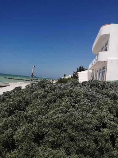 Apartamento 4 El Paraiso De Capitan Fernando Apartment Chelem Exterior foto